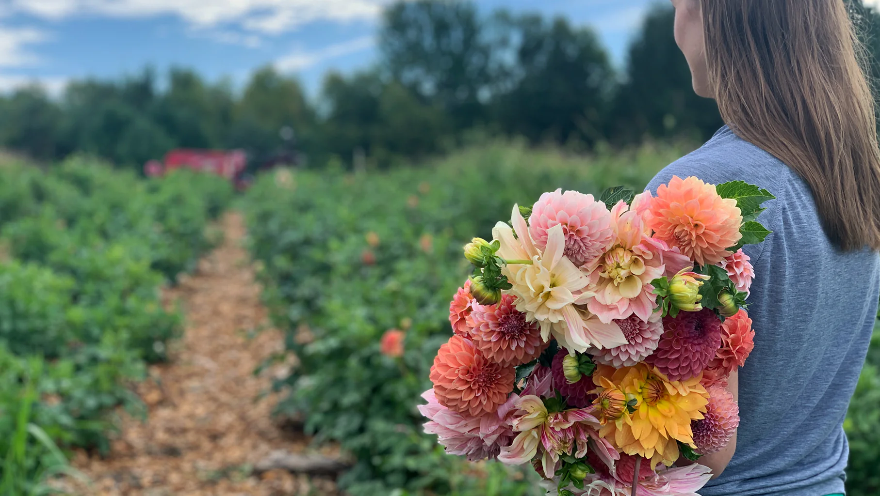 Welcome to Our Store